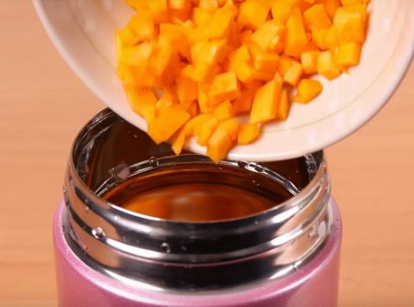 best food thermos reviews